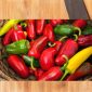 Chilli