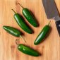 Jalapeno
